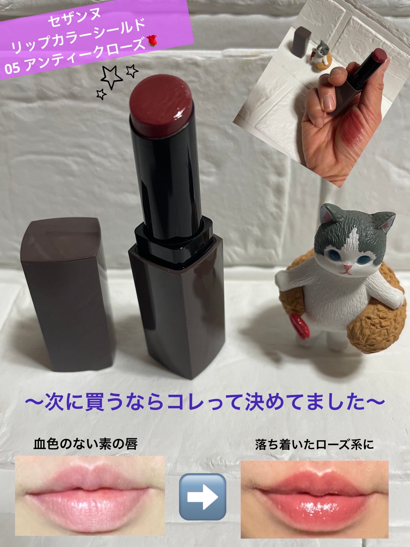 リップカラーシールド/CEZANNE/口紅を使ったクチコミ(1枚目)