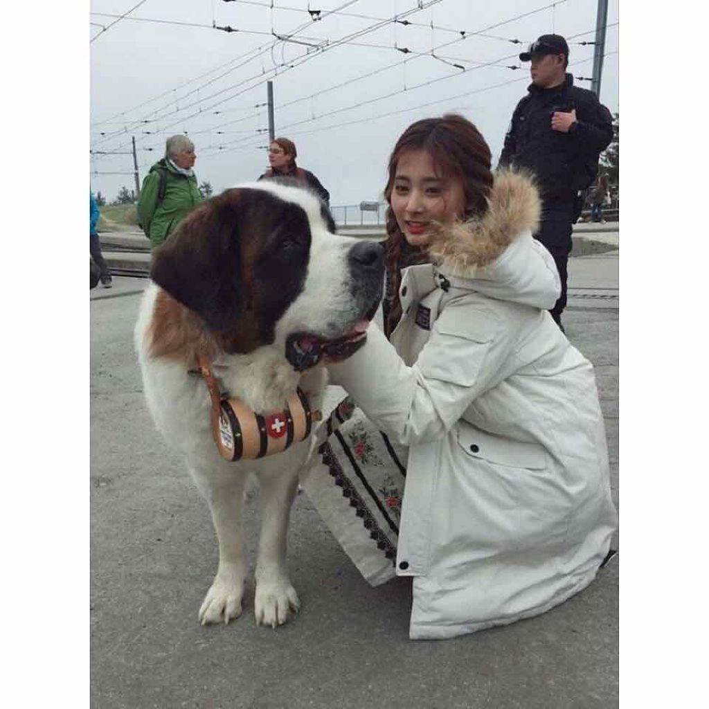 ð¹harukað¹ on LIPS ãtwiceã§ãïŒããããããŠã£ã§ãïŒçããã«ãçžè«ããŠæ¬²ããäº..ãïŒ2æç®ïŒ