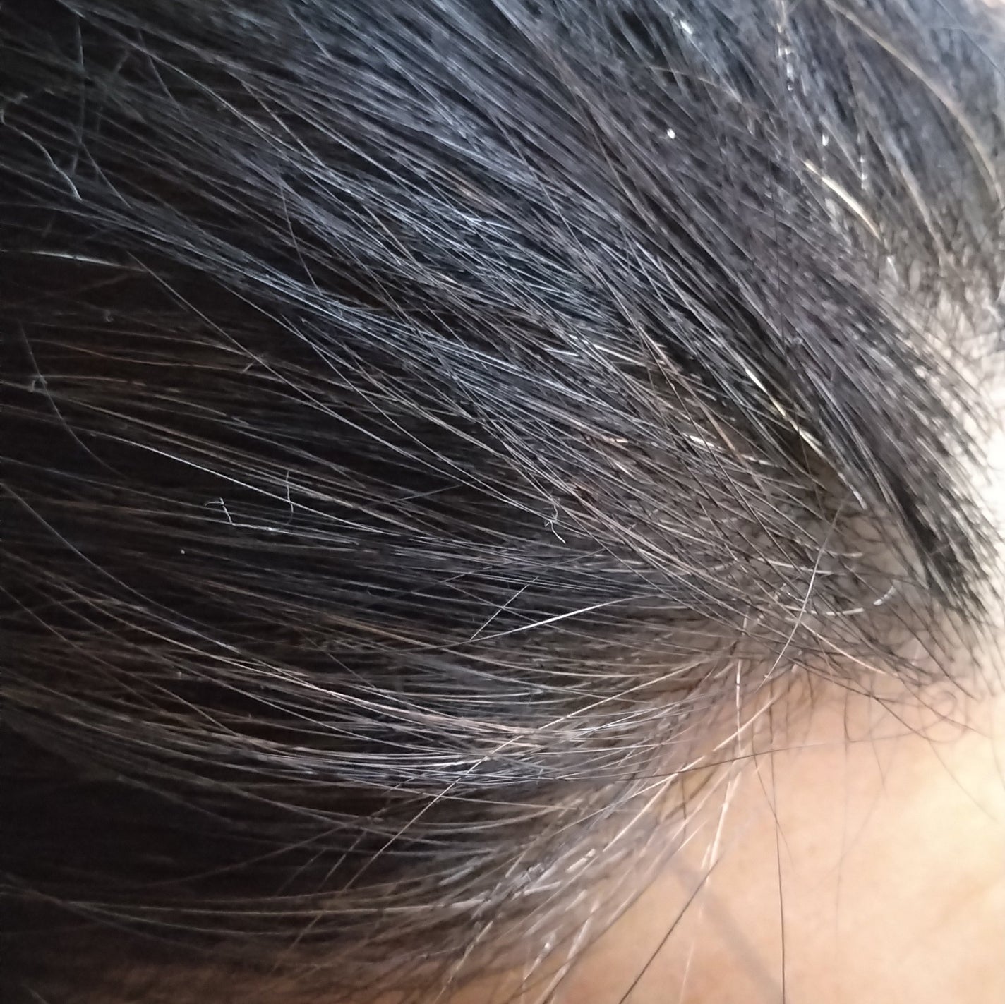 ほみまる on LIPS 「テンスターHena プレミアムカラートリートメント2750円(..」(3枚目)