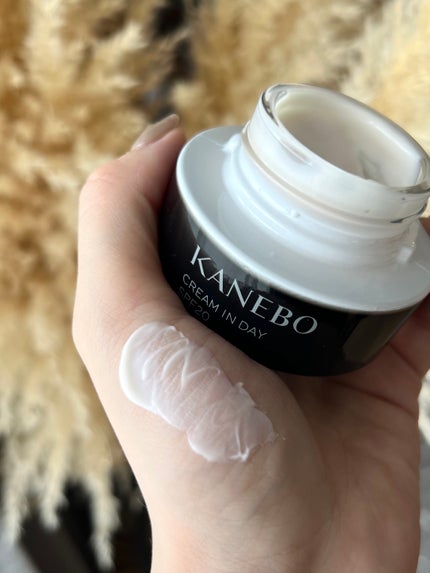 クリーム イン デイ/KANEBO/フェイスクリームを使ったクチコミ(3枚目)