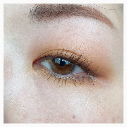 アイカラーレーション/LUNASOL/アイシャドウパレットを使ったクチコミ(5枚目)