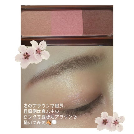 ノーズ&アイブロウパウダー/CEZANNE/パウダーアイブロウを使ったクチコミ(3枚目)