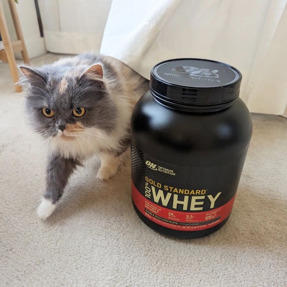 ゴールドスタンダード ホエイプロテイン/ゴールドスタンダード/ホエイプロテインを使ったクチコミ(1枚目)