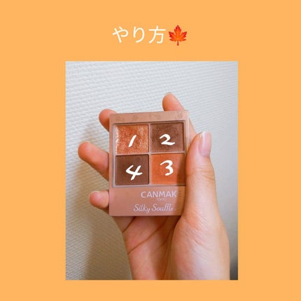 シルキースフレアイズ(マットタイプ)/キャンメイク/アイシャドウパレットを使ったクチコミ(3枚目)