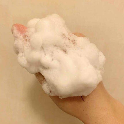 パーフェクトホワイトクレイ/SENKA(専科)/洗顔フォームを使ったクチコミ(2枚目)