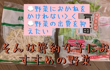 【一人暮らし・同棲してる人におすすめ】節約女子におすすめの野菜


同棲はじめてから毎日ごはんをつくっているのですが
野菜代が高い！
(引っ越す前は野菜はもらえたのでほぼ無料だったのですが…)


てな