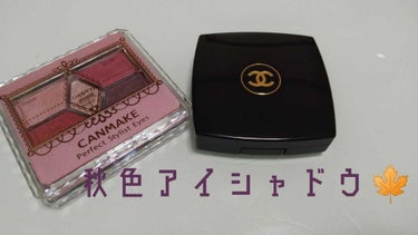 オンブル プルミエール プードゥル/CHANEL/パウダーアイシャドウを使ったクチコミ（1枚目）