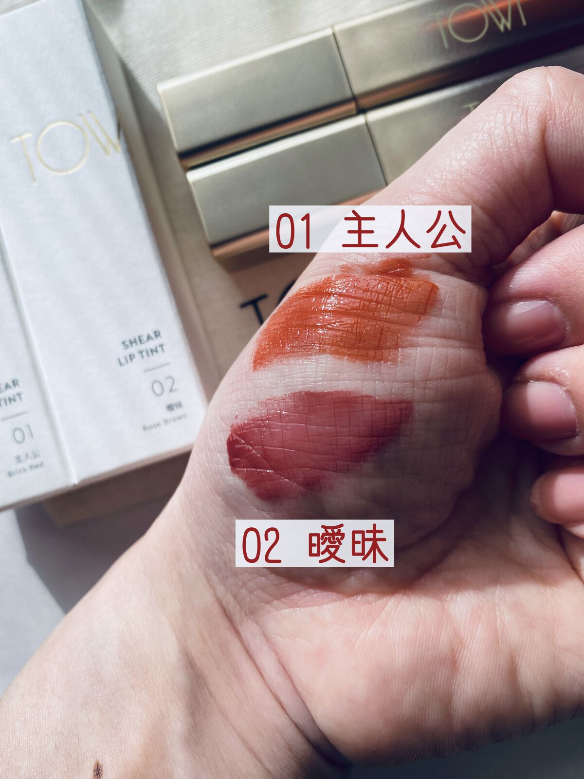 シアーリップティント 01 主人公〈brick red〉/TOWI/リップティントを使ったクチコミ（3枚目）