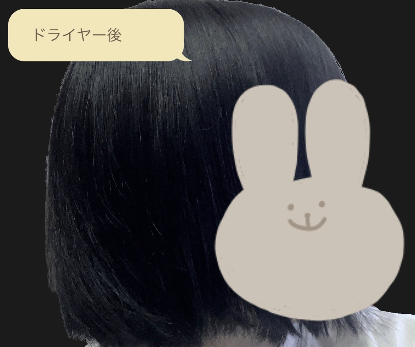 ïŒè³ªæåæŽã·ã£ã³ããŒïŒããªãŒãã¡ã³ã /ã«ã·ãŒããšã«/åžè²©ã·ã£ã³ããŒã䜿ã£ãã¯ãã³ãïŒ2æç®ïŒ