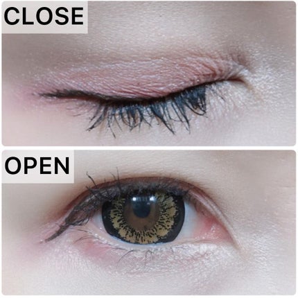 エクスプローラ12色 動物アイシャドウパレット/PERFECT DIARY/アイシャドウパレットを使ったクチコミ(3枚目)