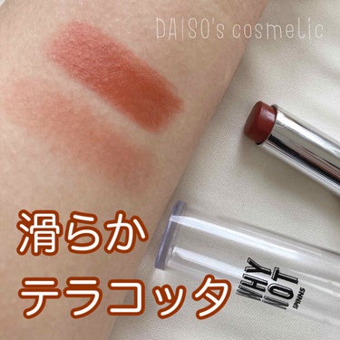 WHY NOT SPINNS リップスティック テラコッタ/DAISO/口紅を使ったクチコミ（1枚目）