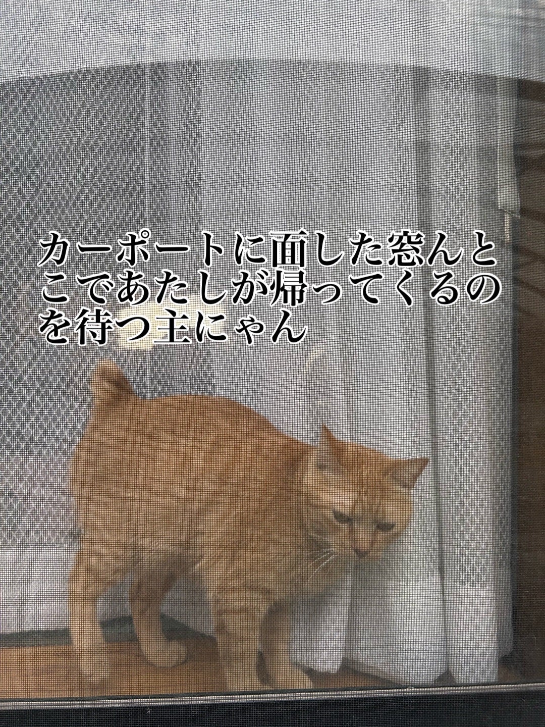 ðââ¬ã«ãããðŸ on LIPS ãã«ãããããåºè¿ãããŠããããç²ããŠåž°ã£ãŠããŠããã¯çãã§ãã..ãïŒ1æç®ïŒ