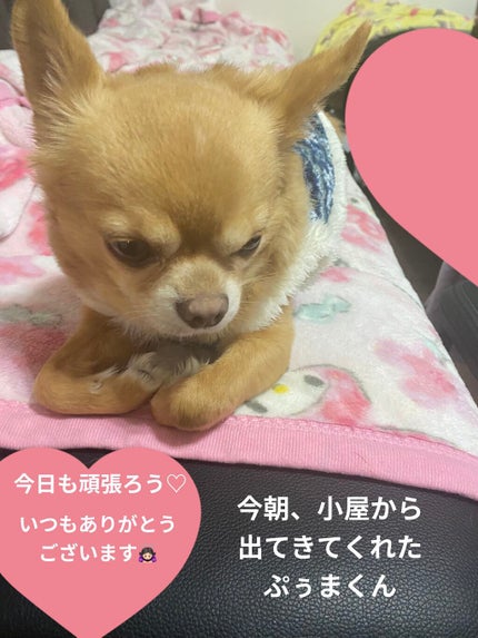 フルーツミラーリップグロス/Joocyee/リップグロスを使ったクチコミ(10枚目)