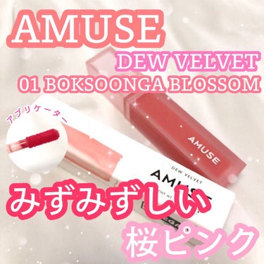 デュー ベルベット/AMUSE/口紅を使ったクチコミ（1枚目）