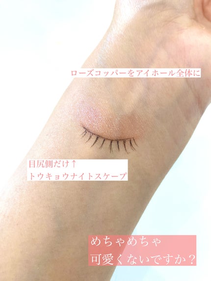 カスタムパレット IV/shu uemura/その他化粧小物を使ったクチコミ(7枚目)