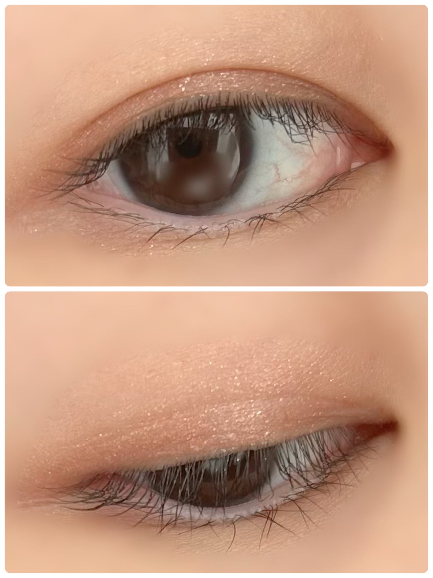 スキニーリッチシャドウ/excel/アイシャドウパレットを使ったクチコミ(2枚目)