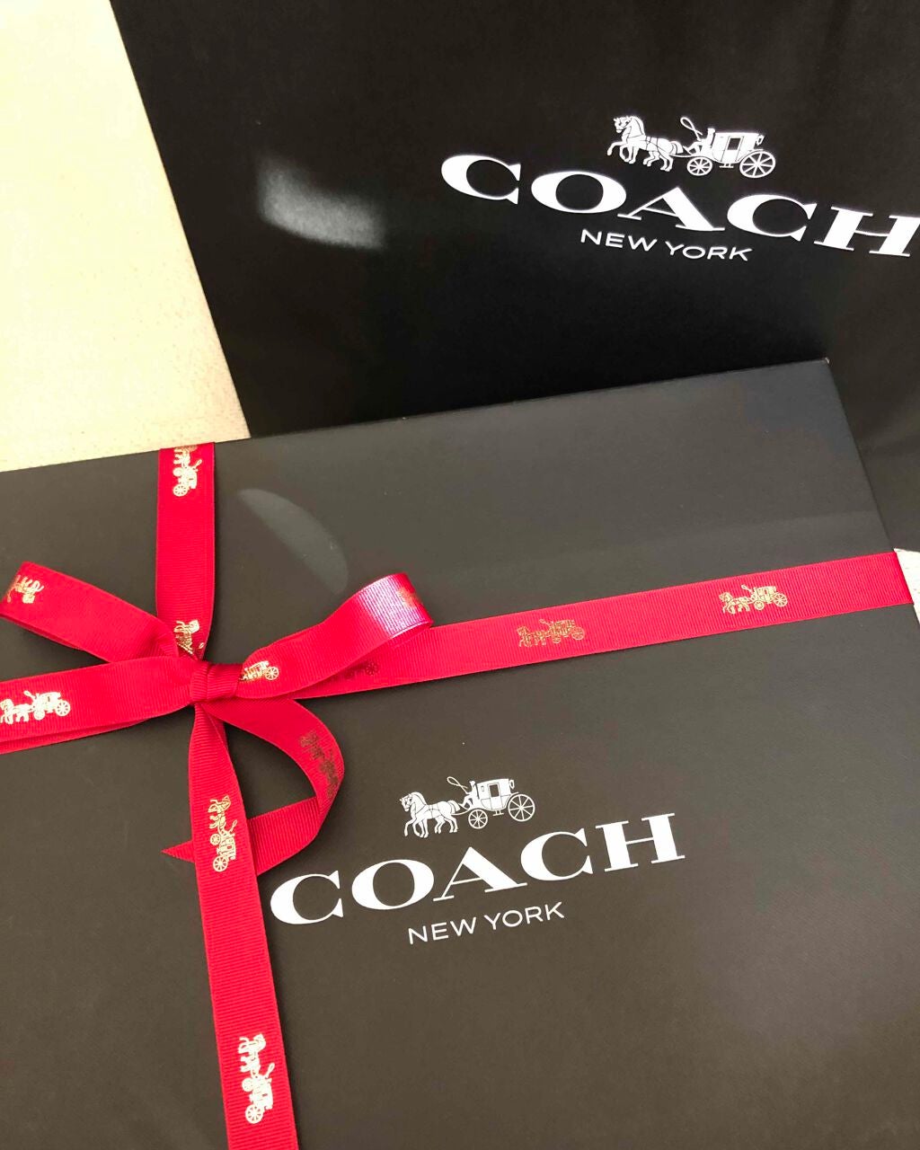 ルージュ アンリミテッド/shu uemura/口紅を使ったクチコミ(4枚目)