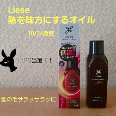 ヘアアイロンケース/DAISO/ヘアケアグッズを使ったクチコミ（1枚目）