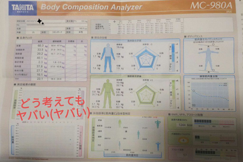 食べてもDiet/井藤漢方製薬/ボディサプリメントを使ったクチコミ（1枚目）
