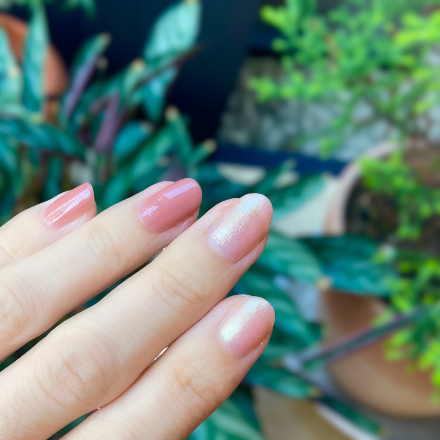 オサジ アップリフト ネイルカラー/OSAJI/マニキュアを使ったクチコミ(4枚目)