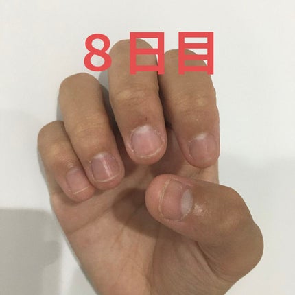 ã䜿ã£ãã¯ãã³ãïŒ1æç®ïŒ