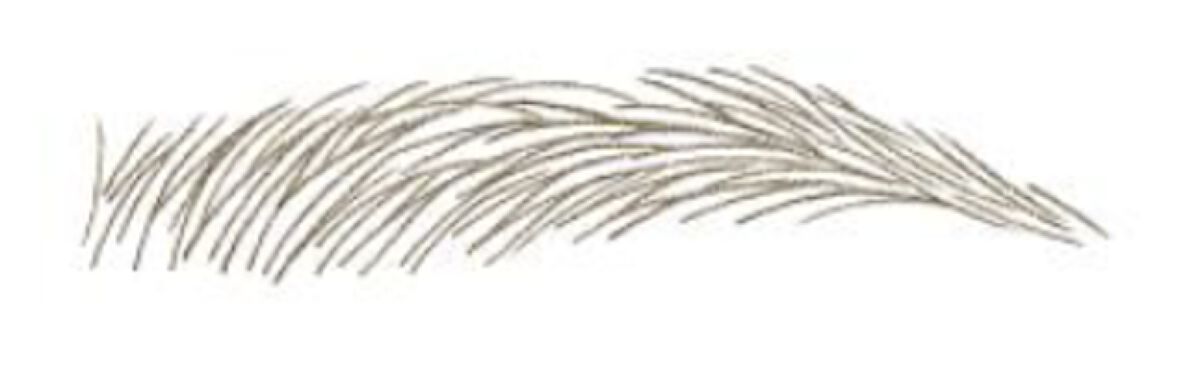 スリムエキスパートＲ 02 ナチュラルブラウン