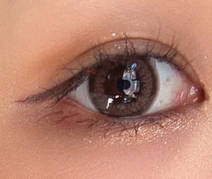 エバーカラーワンデー ナチュラル/エバーカラー/ワンデー(1DAY)カラコンを使ったクチコミ(4枚目)