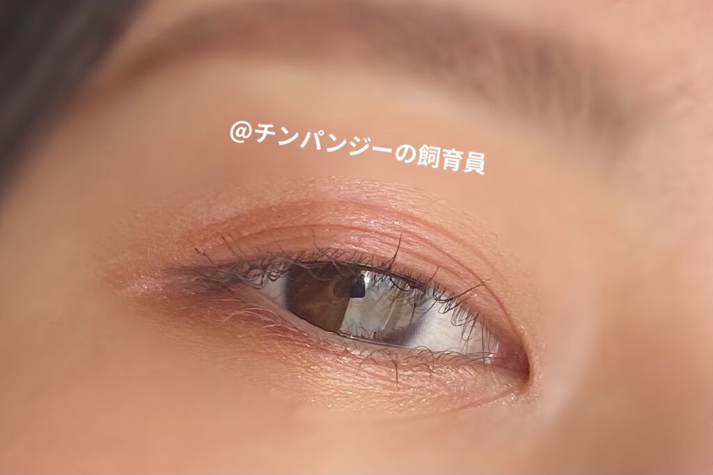 【旧品】パーフェクトスタイリストアイズ/キャンメイク/アイシャドウパレットを使ったクチコミ（2枚目）