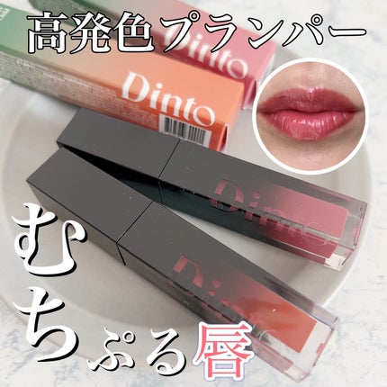 ディープキスド プランピング リップエナメル/Dinto/リップグロスを使ったクチコミ(1枚目)