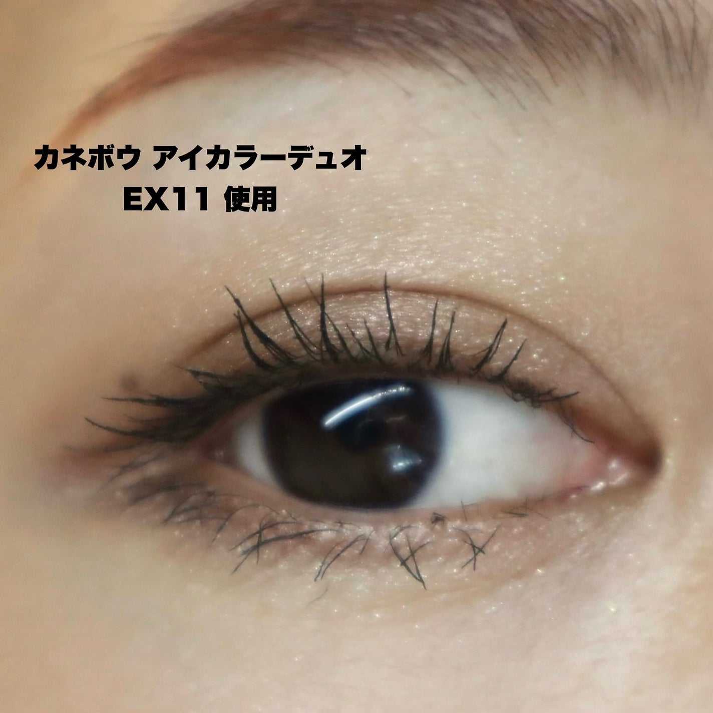 ぴー on LIPS 「7月26日発売の新作たち🔥/.KANEBOのコスメは特にアイカ..」(7枚目)