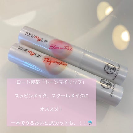トーンマイリップ/メンソレータム/リップケアを使ったクチコミ(1枚目)