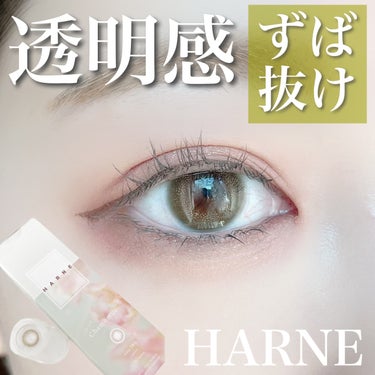 HARNE 1day カモミール/HARNE/ワンデー（１DAY）カラコンの画像