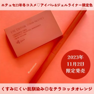 アイエディション(カラーパレット)/ettusais/パウダーアイシャドウを使ったクチコミ（2枚目）