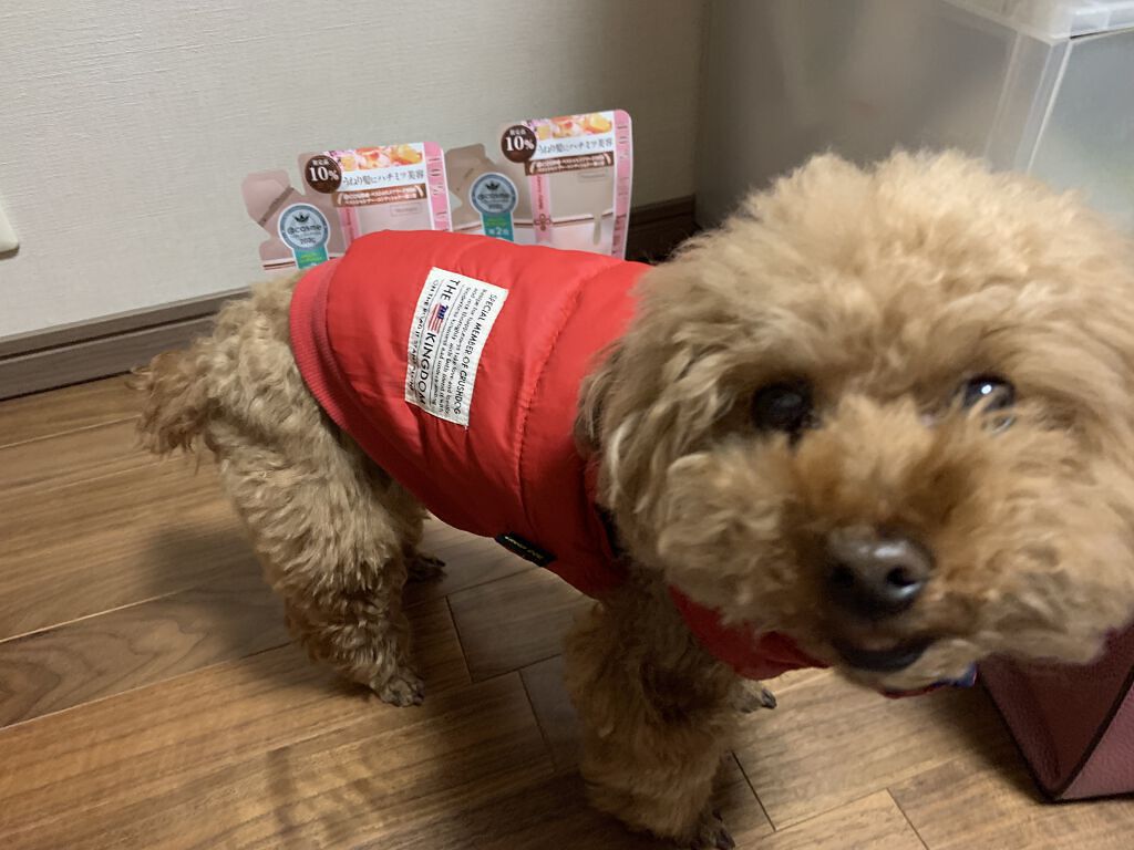 &honey Melty モイストリペア シャンプー1.0／モイストリペア ヘアトリートメント2.0/&honey/市販シャンプーを使ったクチコミ（3枚目）