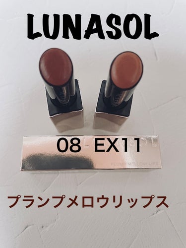 プランプメロウリップス 08 Soft Suede/LUNASOL/口紅を使ったクチコミ（1枚目）