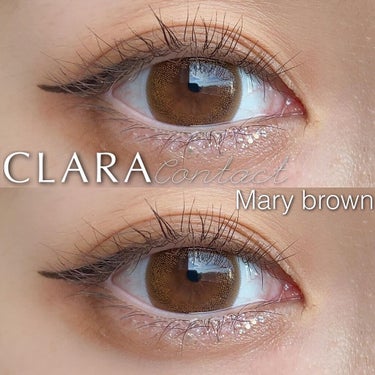 CLARA CONTACT エンヴィチョコのクチコミ「CLARA contact
マリーブラウン
DIA 14.3mm
着色直径 13.7mm
含水.....」（1枚目）