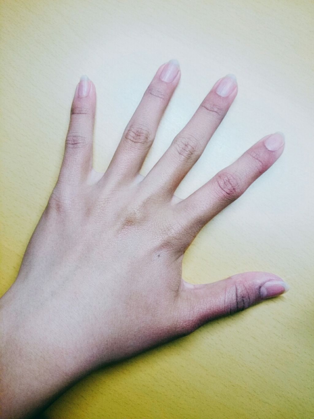 日本製ホワイトクリームＤ/DAISO/化粧下地を使ったクチコミ（3枚目）