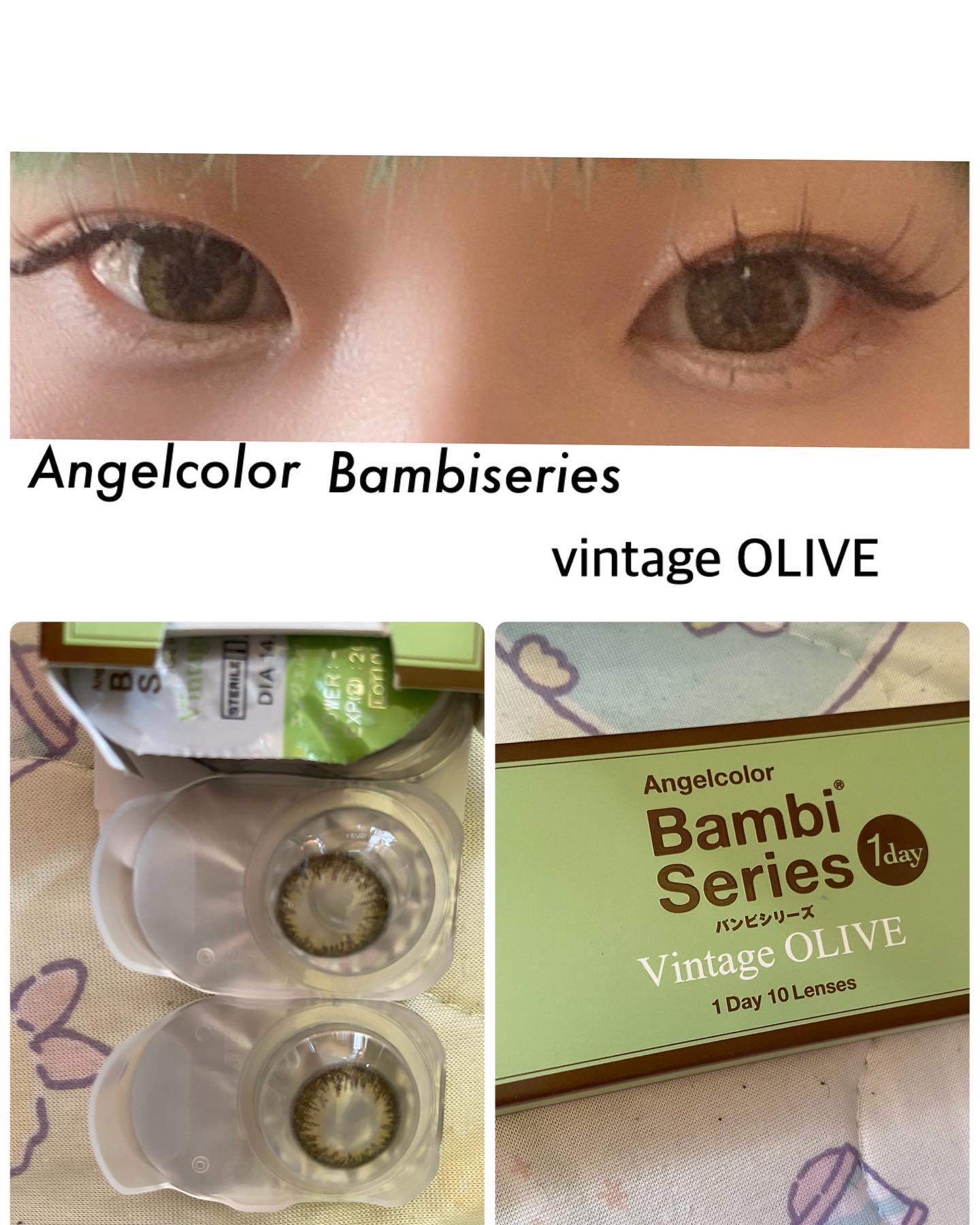 Angelcolor Bambi Series Vintage 1day ヴィンテージオリーブ/AngelColor/ワンデー（１DAY）カラコンを使ったクチコミ（1枚目）