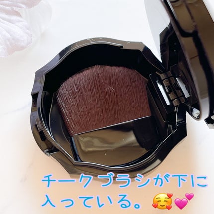 フォギーオンチークス N/Visée/パウダーチークを使ったクチコミ(3枚目)
