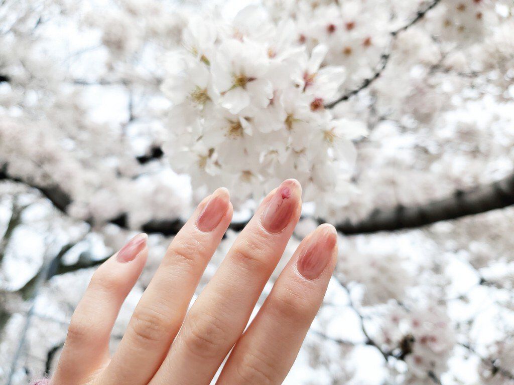 ディーアップファンデーション/D-UP/ネイルベースコートを使ったクチコミ（3枚目）