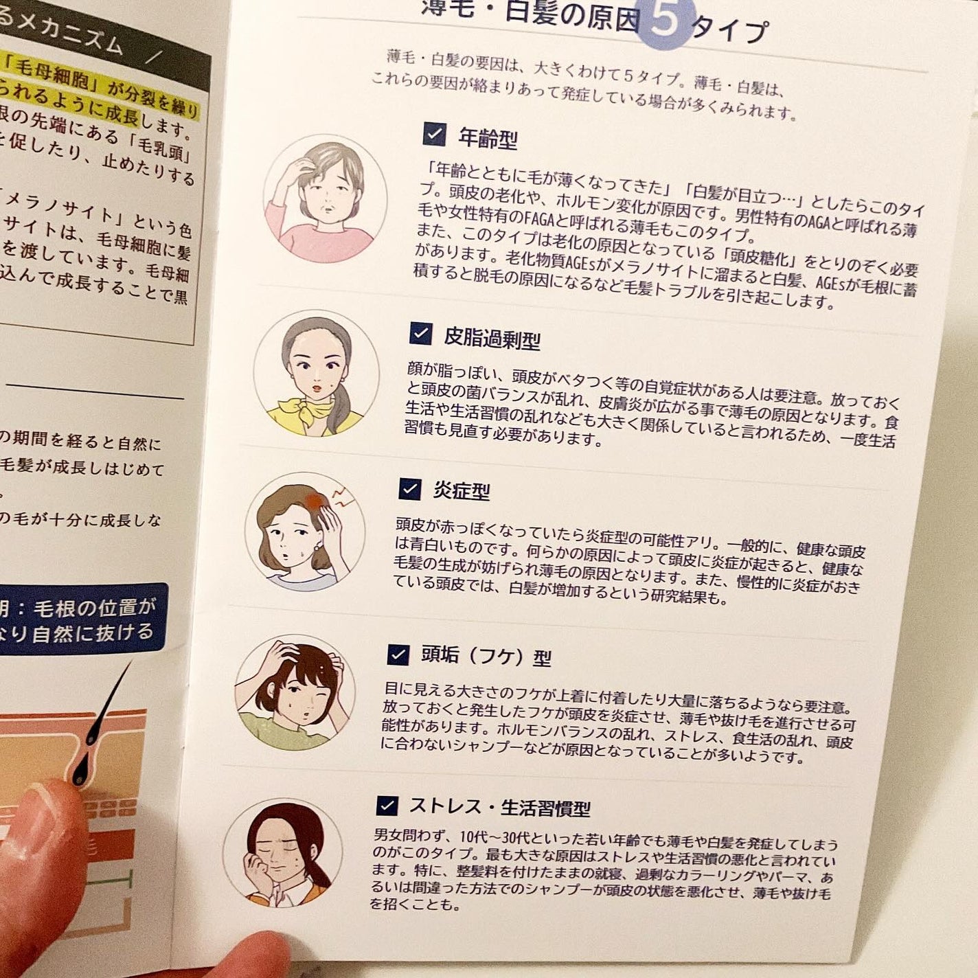 グロキシル ヘアトニック/GROXIL(グロキシル)/頭皮ローションを使ったクチコミ(8枚目)