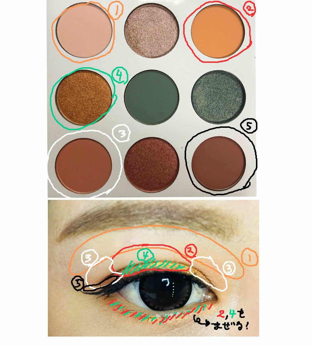 kylie cosmetics ブルー ハニー アイシャドウパレット/Kylie Cosmetics/アイシャドウパレットを使ったクチコミ(4枚目)