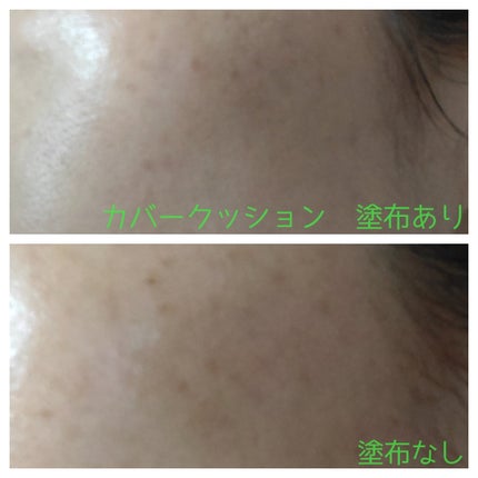 ピンクティーツリーカバークッション/APLIN/クッションファンデーションを使ったクチコミ(7枚目)