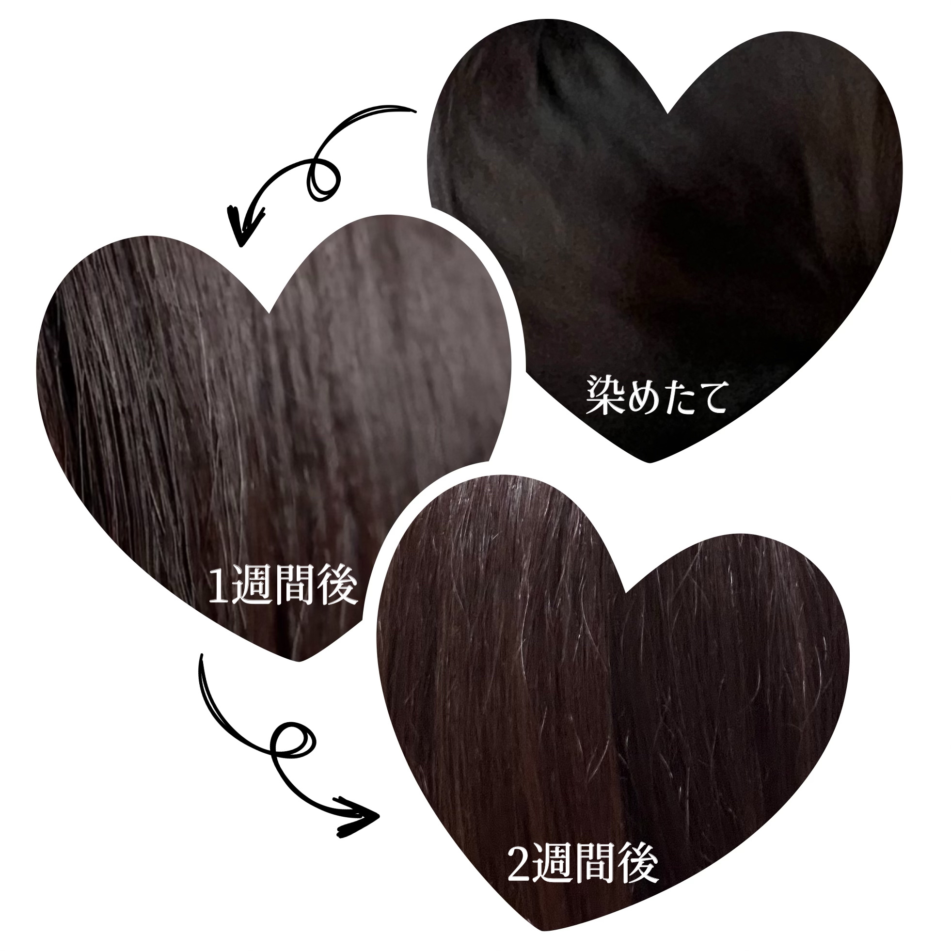 ブルーグロスシャンプー/トリートメント/rasica/市販シャンプーを使ったクチコミ（3枚目）