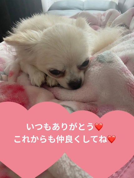 ロング&カールマスカラ アドバンストフィルム/ヒロインメイク/マスカラを使ったクチコミ(6枚目)