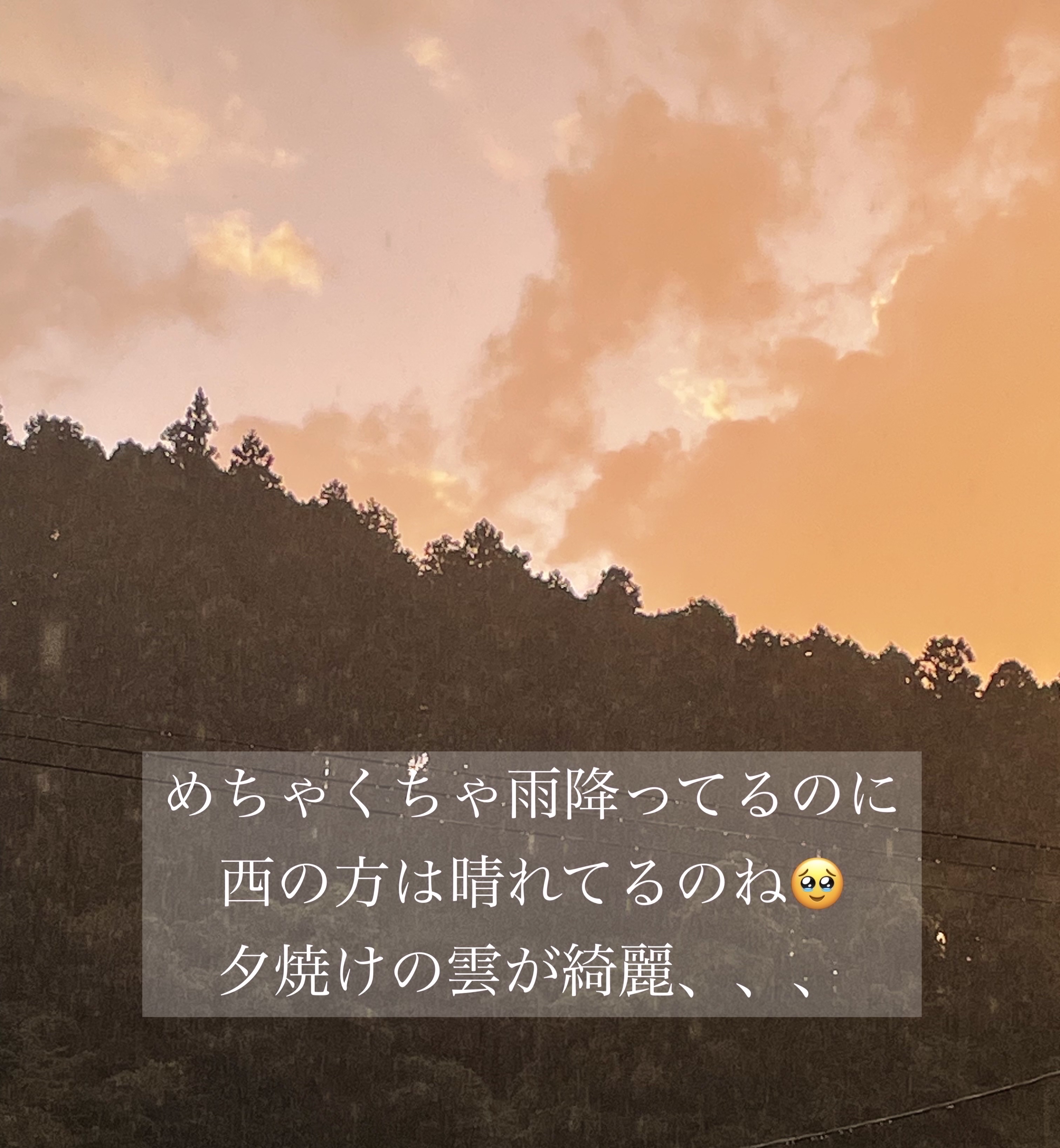 イータック抗菌化スプレーα/エーザイ/その他を使ったクチコミ（3枚目）