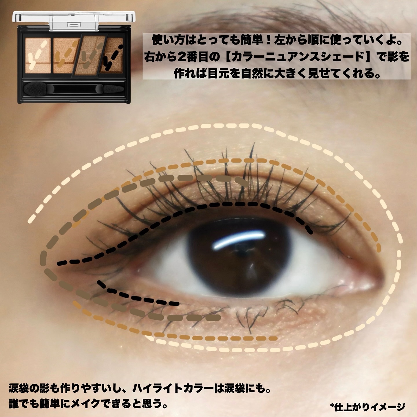 デザイニングブラウンアイズ EX-3 深煎りブラウン(ハイローストブラウン)(限定)/KATE/アイシャドウパレットを使ったクチコミ（3枚目）