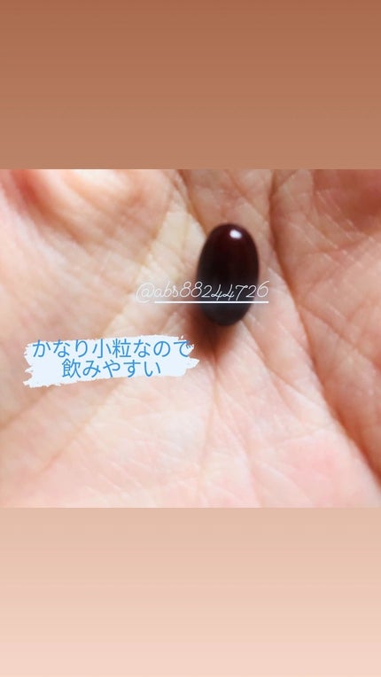 WHITE VEIL Premium/WHITE VEIL/美容サプリメントを使ったクチコミ(2枚目)