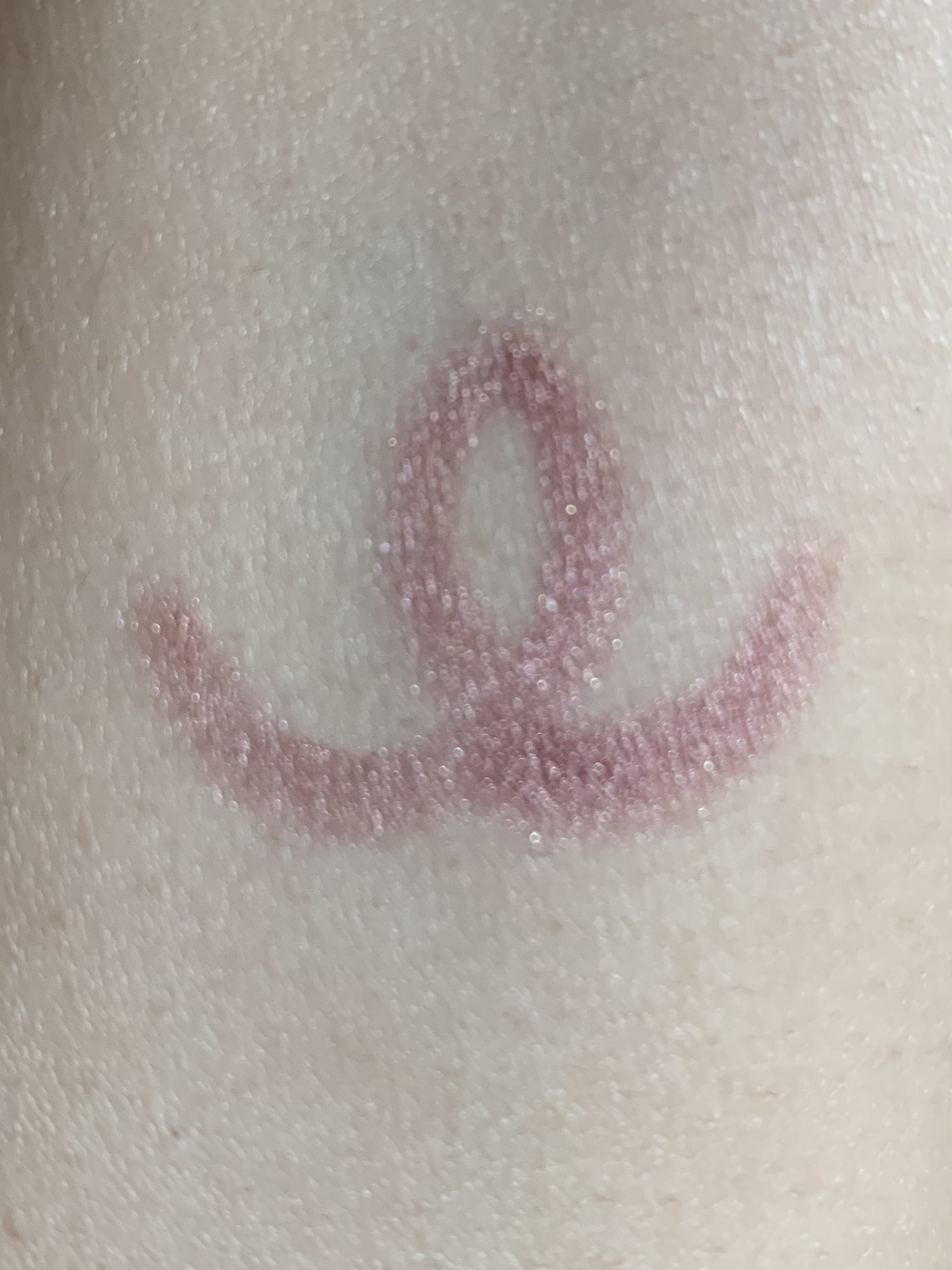 グリームオンフィットシャドウ GF03 ドリームキャッチャー/excel/スティックアイシャドウを使ったクチコミ（3枚目）