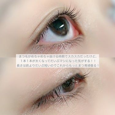 BONNY LASHES/FABIUS/まつげ美容液を使ったクチコミ（3枚目）